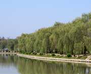 阜南明天天气